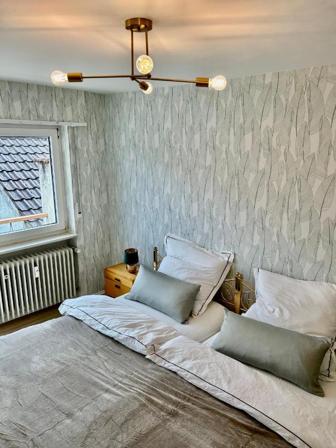 Relaxstay - Balkon - Smart-Tv - Wifi Dielheim Ngoại thất bức ảnh